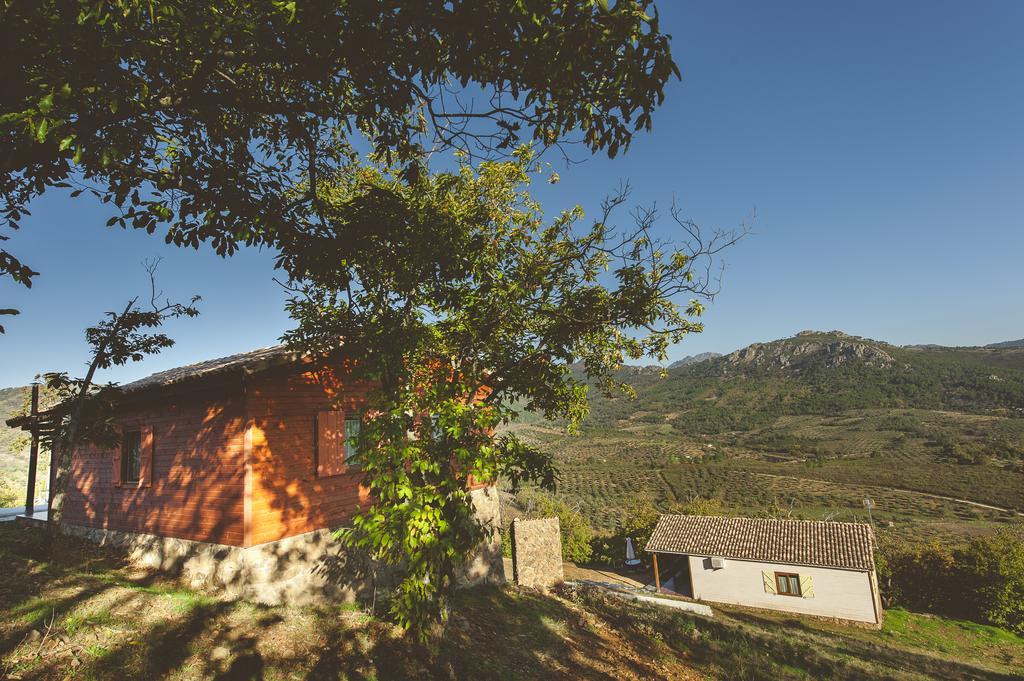 La Brizna Guest House Canamero ห้อง รูปภาพ