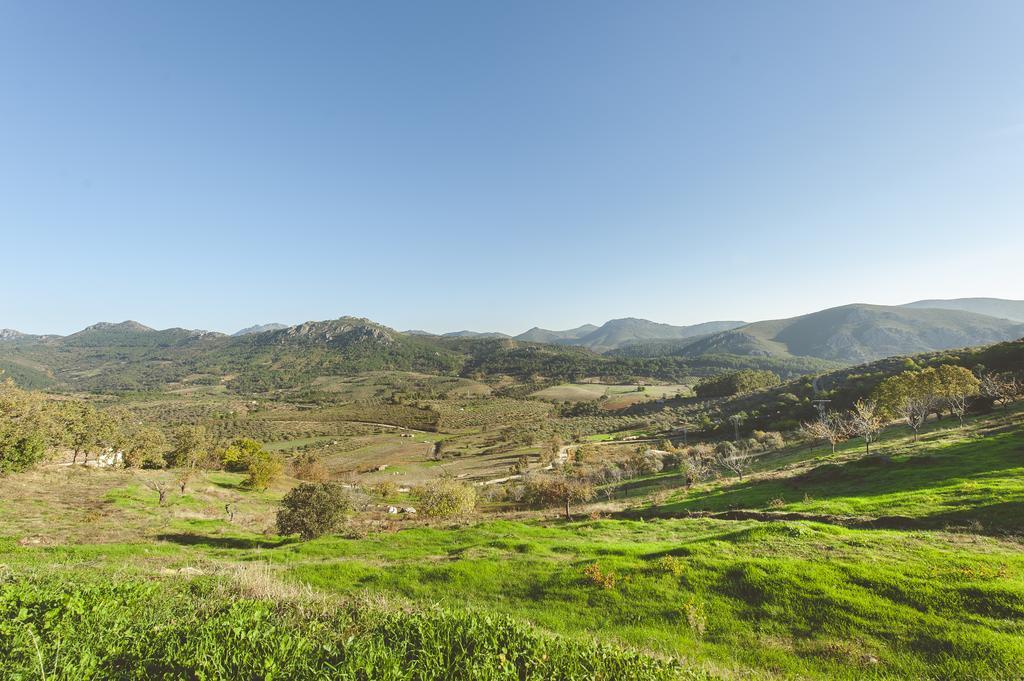 La Brizna Guest House Canamero ภายนอก รูปภาพ